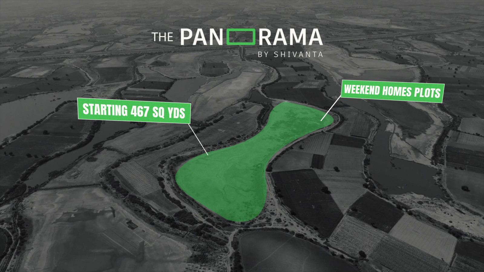 The Panorama